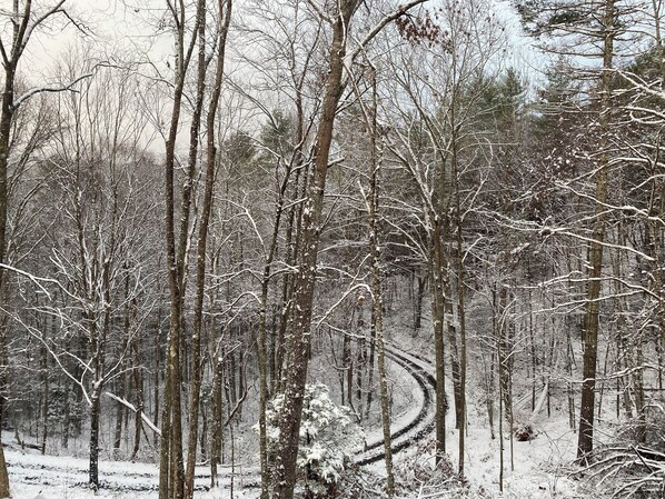 Une forêt où les arbres sont recouverts de neige et où serpente un sentier.