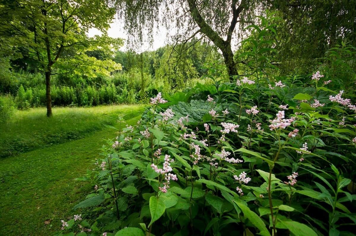 Terrein van de accommodatie