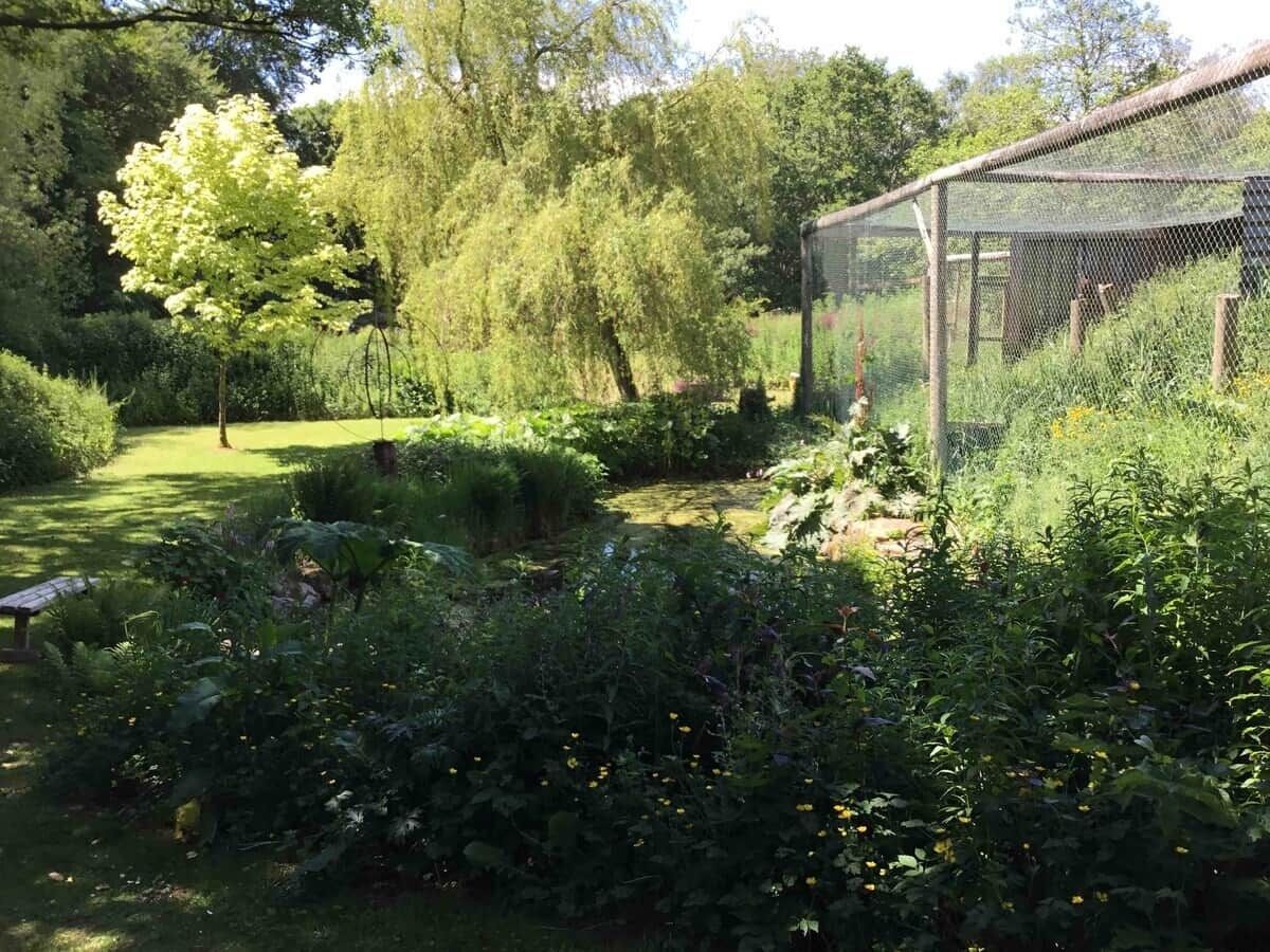 Terrein van de accommodatie