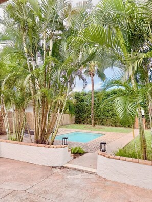 Pool - Private, Tropical Home with Pool, blocks from Atlantic Ave Delray Beach FL (Delray Beach)