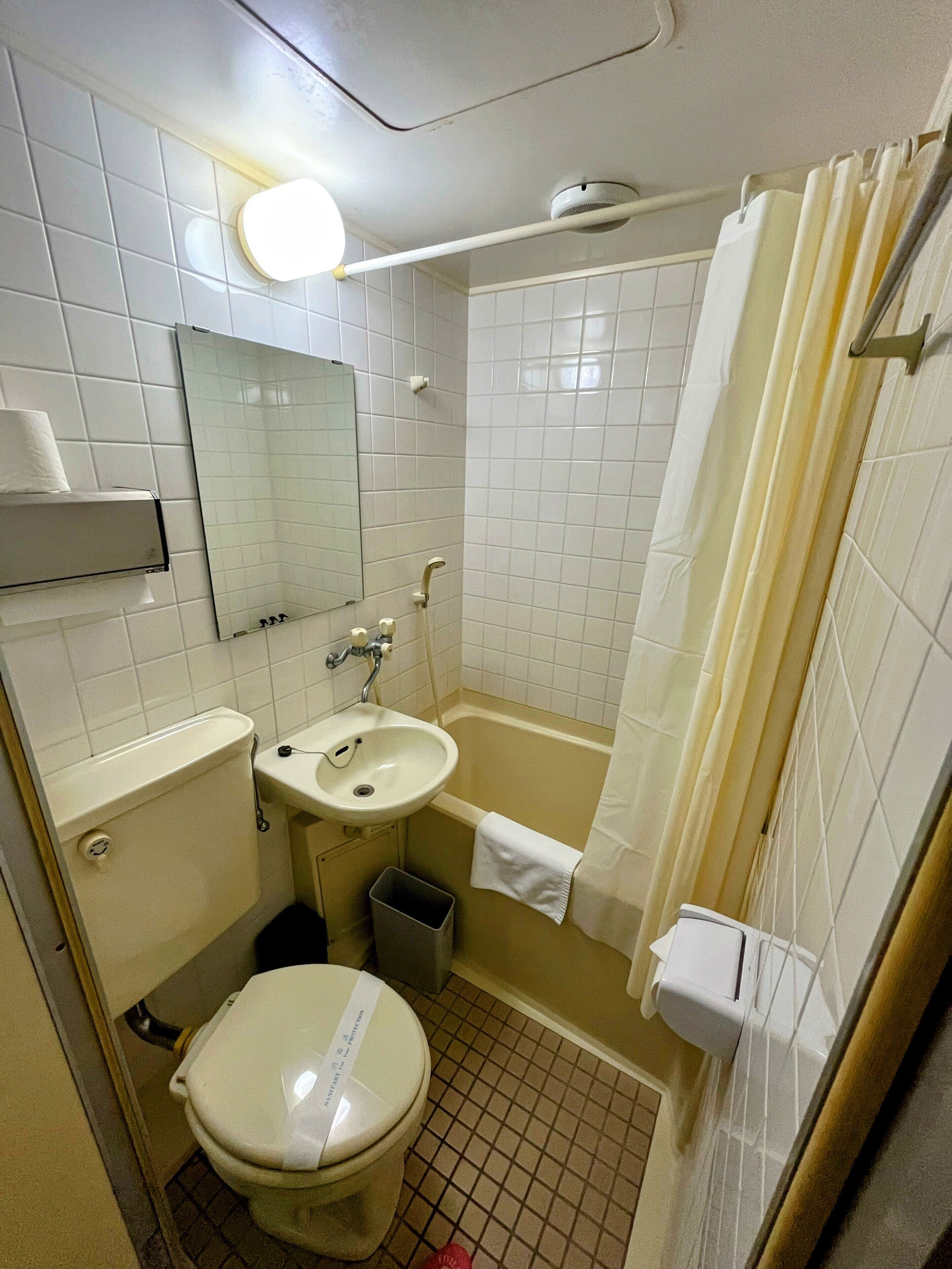 Ein Badezimmer mit Toilette, Waschbecken, Spiegel und Duschvorhang.