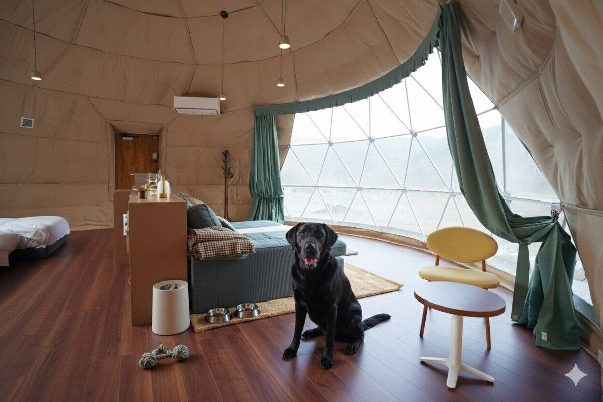 Une pièce avec un lit, un canapé, un chien, une petite table et une fenêtre avec des rideaux.