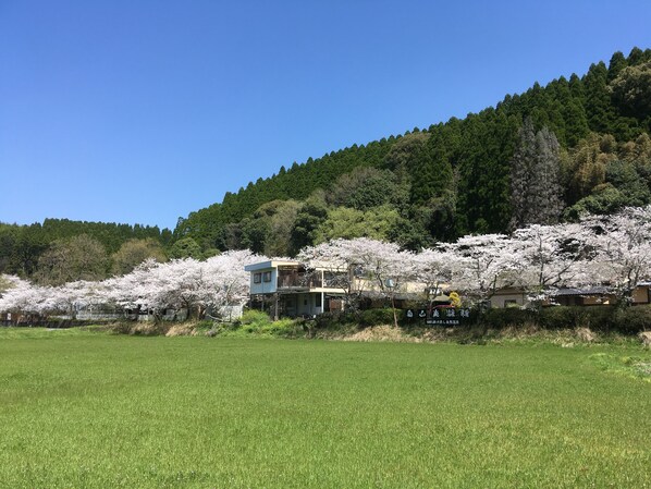 A traditional Japanese house with a view of a cherry blossom forest. - Hirayama Onsen Okuyamaga Onsen Ryokan (Yamaga)