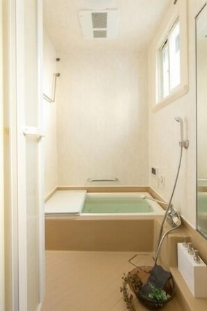 Hair dryer, soap, shampoo - Villa Yawaragi (Fujikawaguchiko)