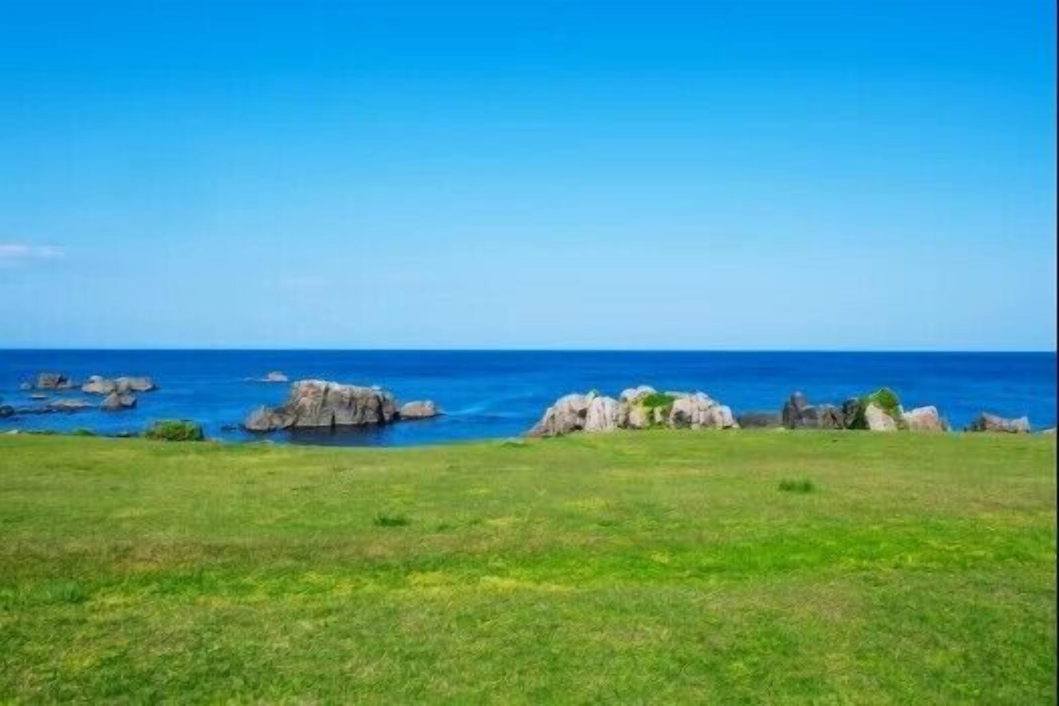 A coastal landscape with a grassy foreground and rocky outcrops in the distance.
