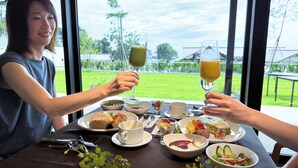Una mesa de comedor con varios platos, vasos y una taza, con vistas a follaje verde a través de una ventana.