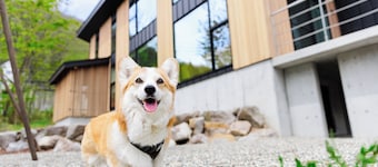 Wadano Hill Chalet