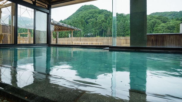 A swimming pool with a view of a forested hill. - Niigata Iwamuro Onsen Jikagensen no Yado Fujiya (Niigata)