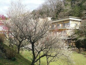 Àrea exterior de l'allotjament