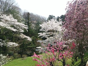Property grounds - Shiratori Onsen Harukiya Ryokan (Iwaki)