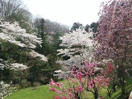 施設の敷地