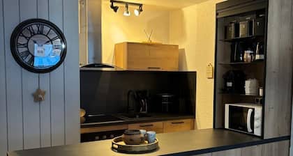 Appartement cosy – Pied des pistes – Pra Loup 1600