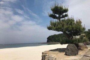 Un paysage côtier avec un arbre bonsai, un affleurement rocheux et une plage.