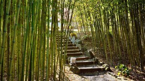 Property grounds - Narashinonosato Gyokusui (Higashiizu)