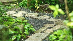 A stone pathway in a lush garden with greenery and a lantern. - Kotobukitei (Komono)