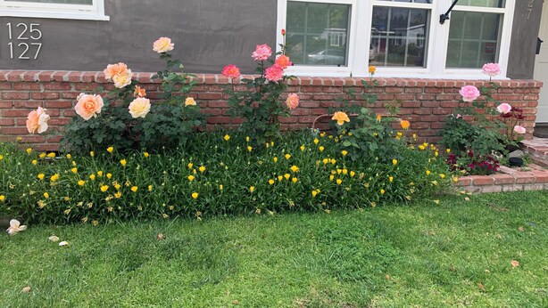 A residential building with a brick wall and a flower bed with various flowers. - Charming 1-bedroom house in convenient Burbank with AC (Burbank)