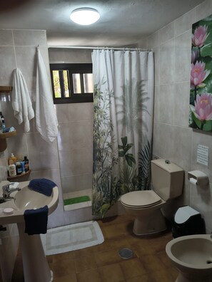 Shower, bidet, towels, soap