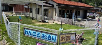 Momo House Dog-friendly Stay