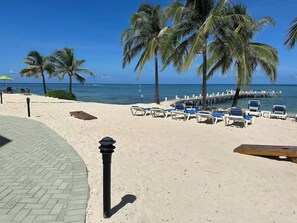 Ein Strand mit Liegestühlen, Palmen und einem Steg, der ins Wasser führt.
