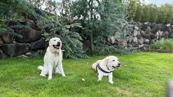 Áreas de la propiedad