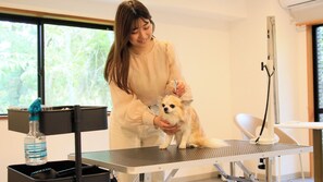 Uma mesa de tosa com um cão, uma garrafa de água e um acessório de tosa.