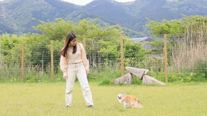 Uma pessoa em um campo gramado, com um cão, cerca de arame e montanhas ao fundo.