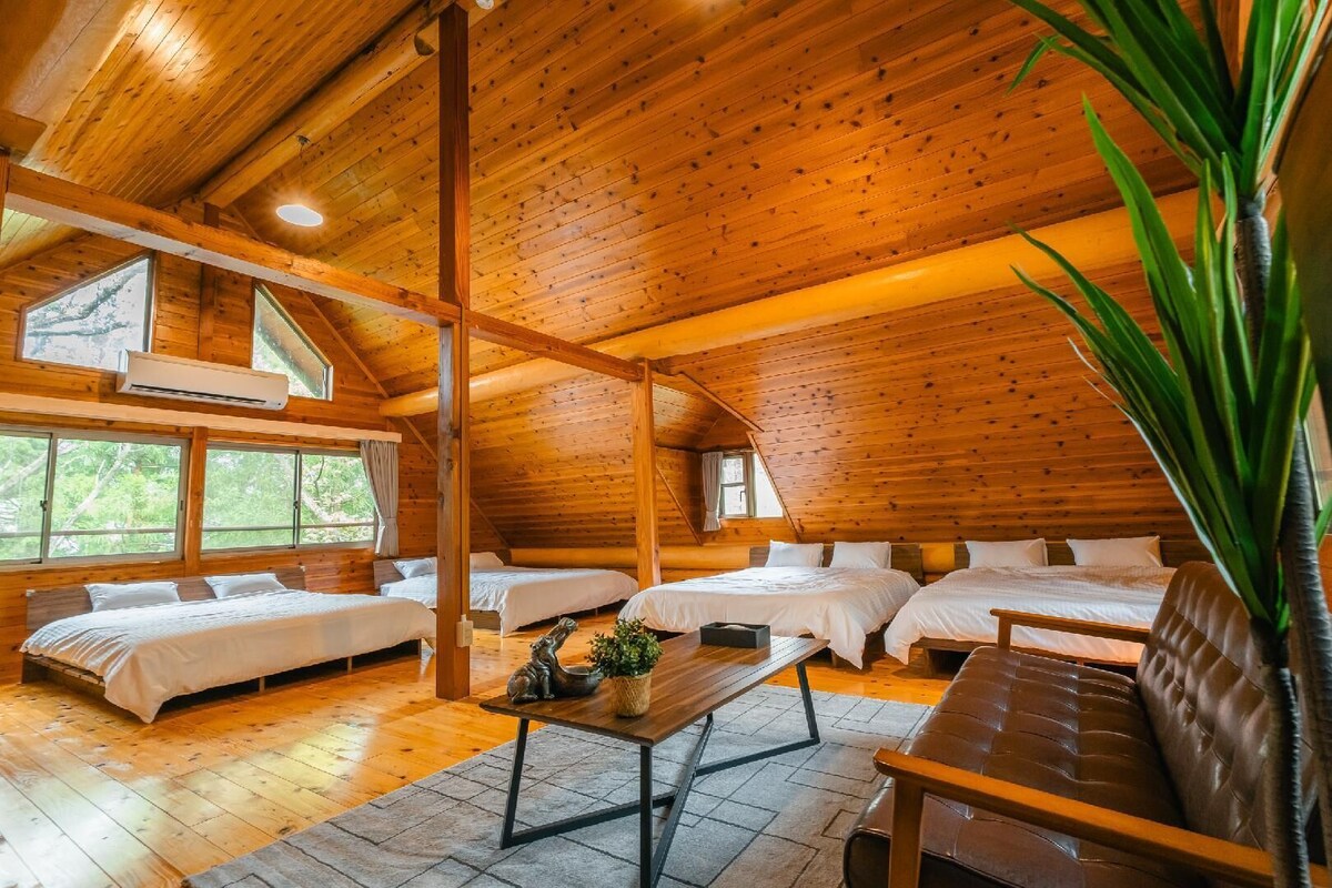 A log cabin with four beds arranged in a U-shape, a dining table, and a large potted plant.