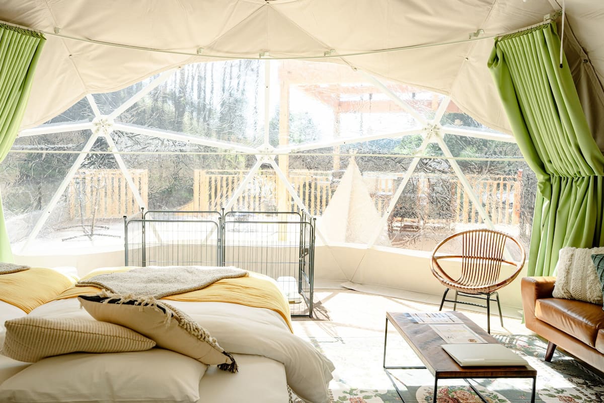A tented room with a bed, a chair, a table, and a view of a forest.