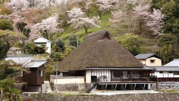 A traditional Japanese house with a thatched roof, surrounded by cherry blossoms and other vegetation. - Oyado Sakura Gojo Station (Gojo)