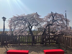 Property grounds - Oyado Sakura Gojo Station (Gojo)