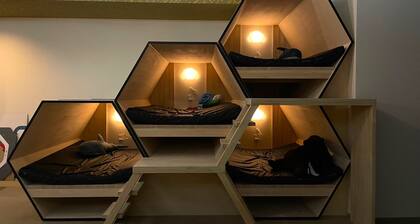 Miharashi no Yado Fronden