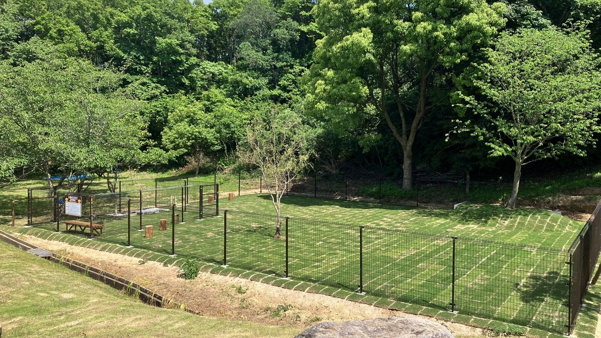 A fenced outdoor area with a grassy field, trees, and a bench.