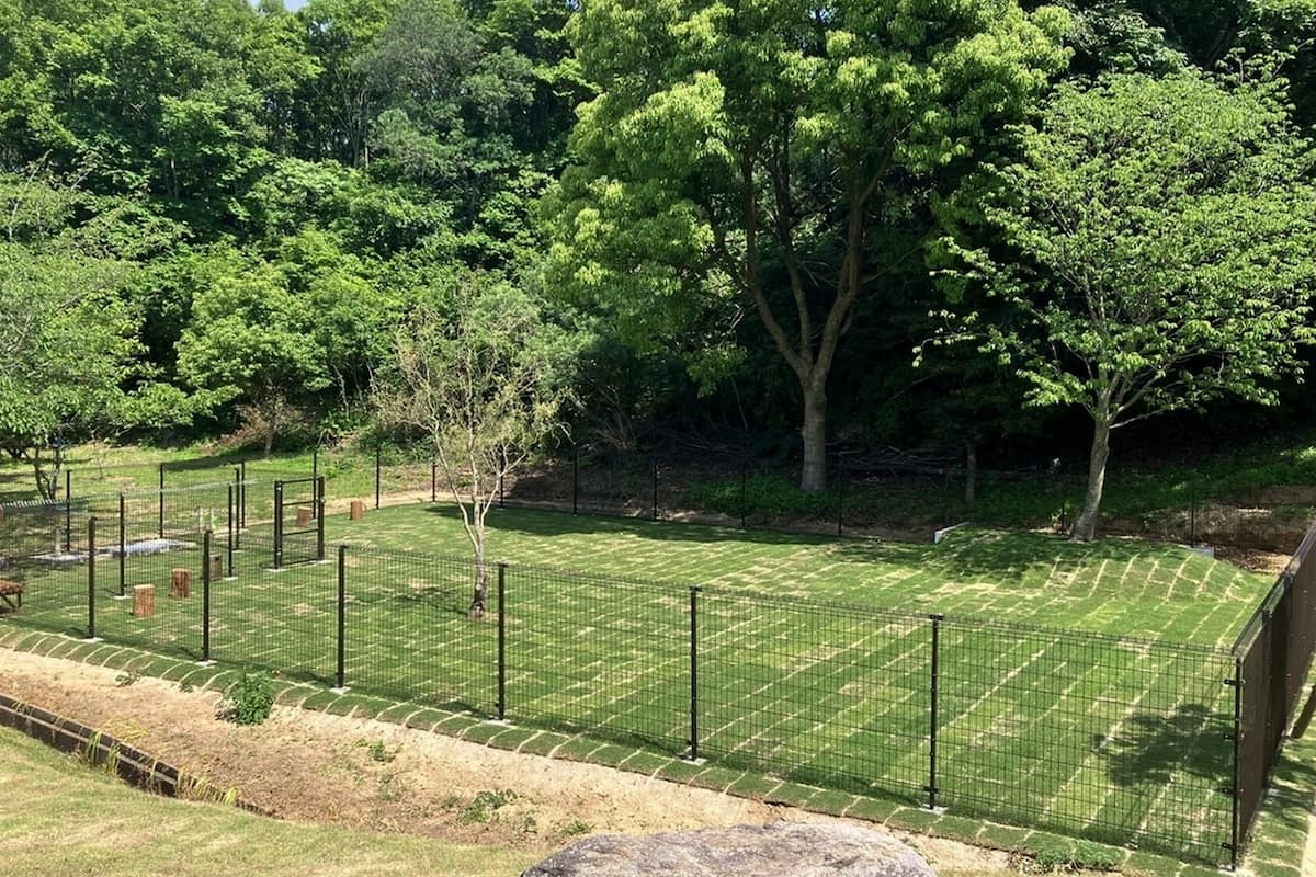 A fenced outdoor area with a grassy field, trees, and a bench.