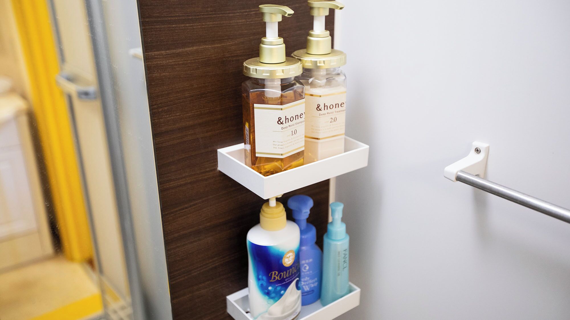 Hair dryer, soap, shampoo
