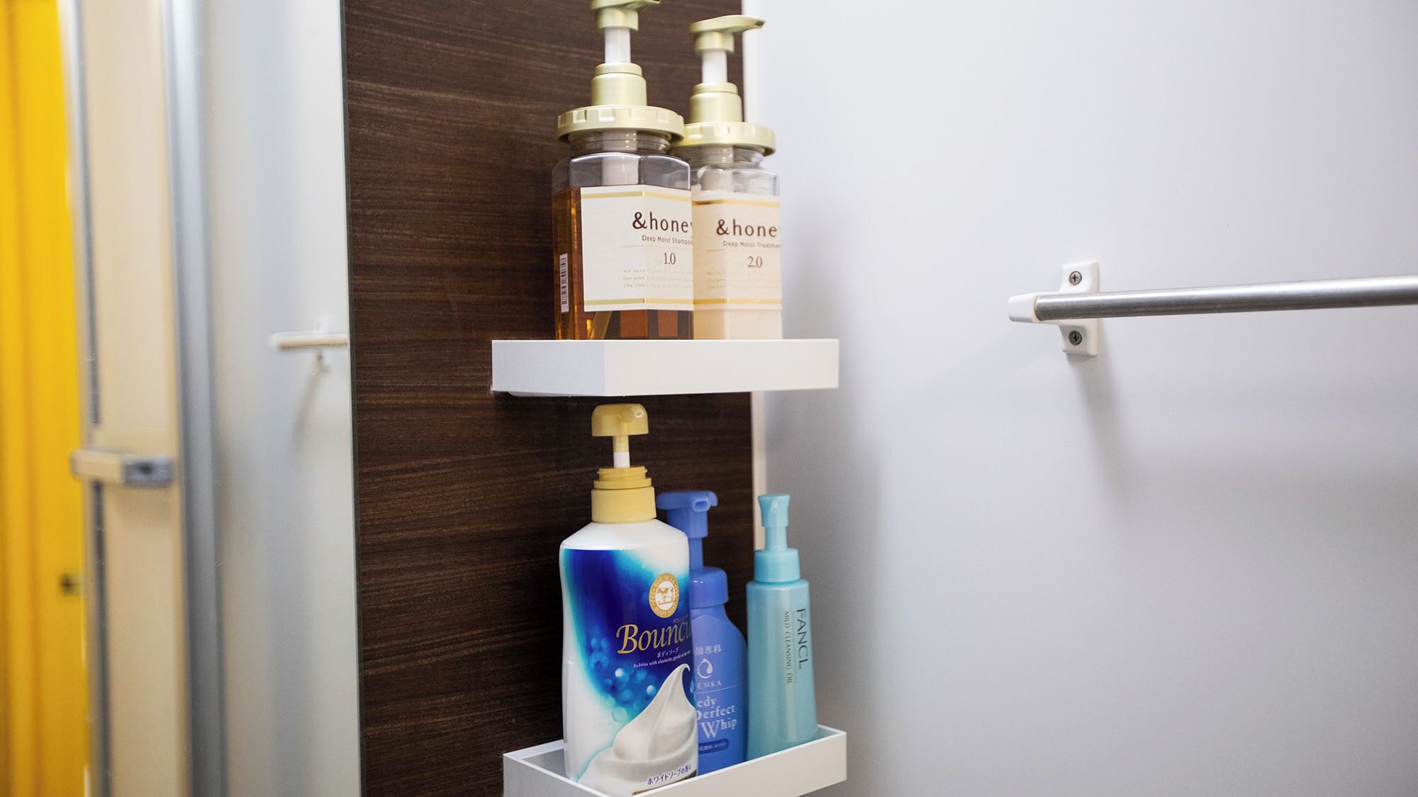 Hair dryer, soap, shampoo