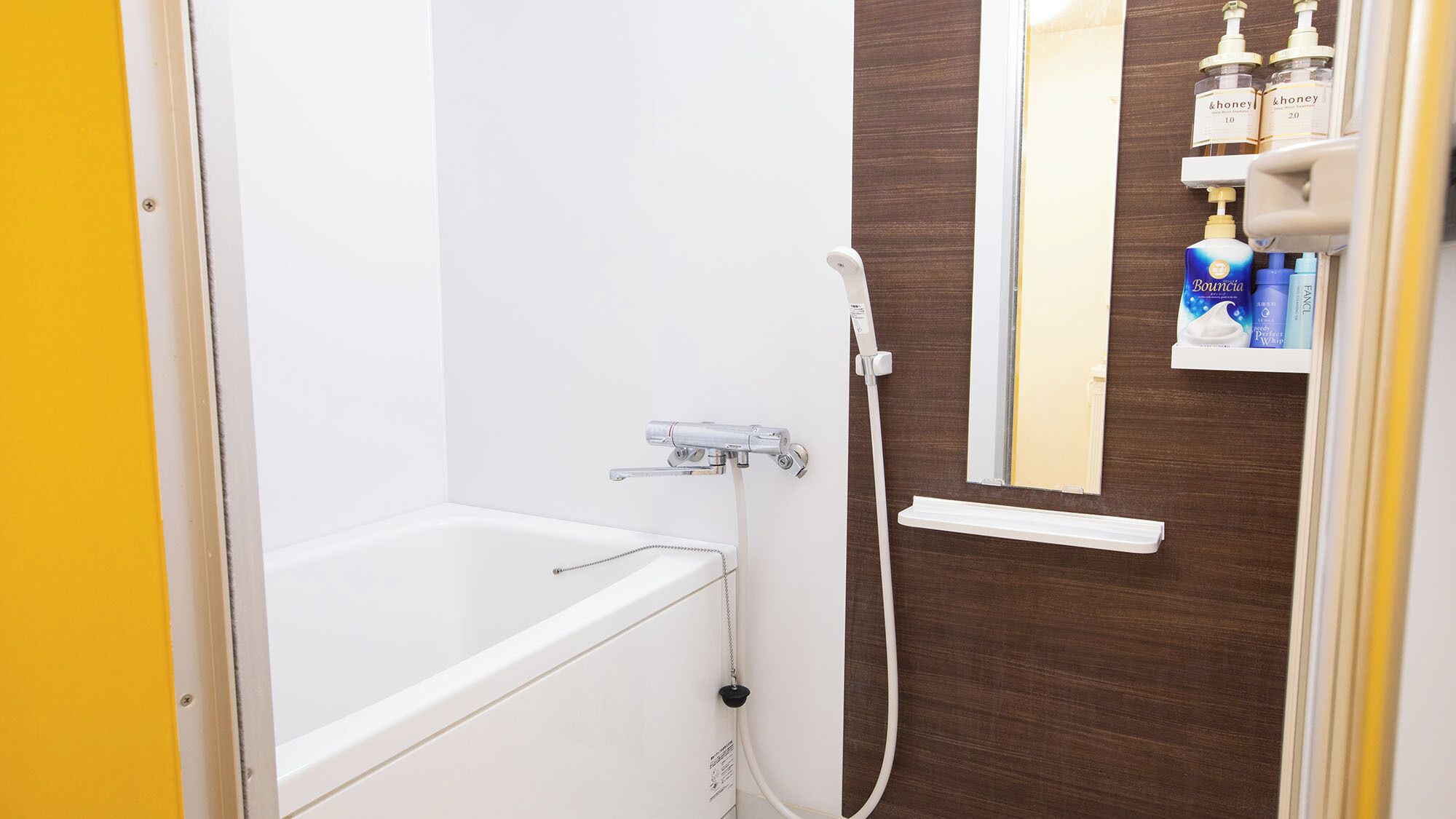 Hair dryer, soap, shampoo
