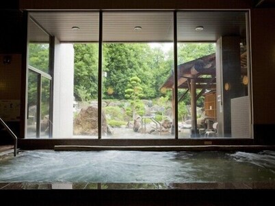 Wake Ugaidani Hot Spring