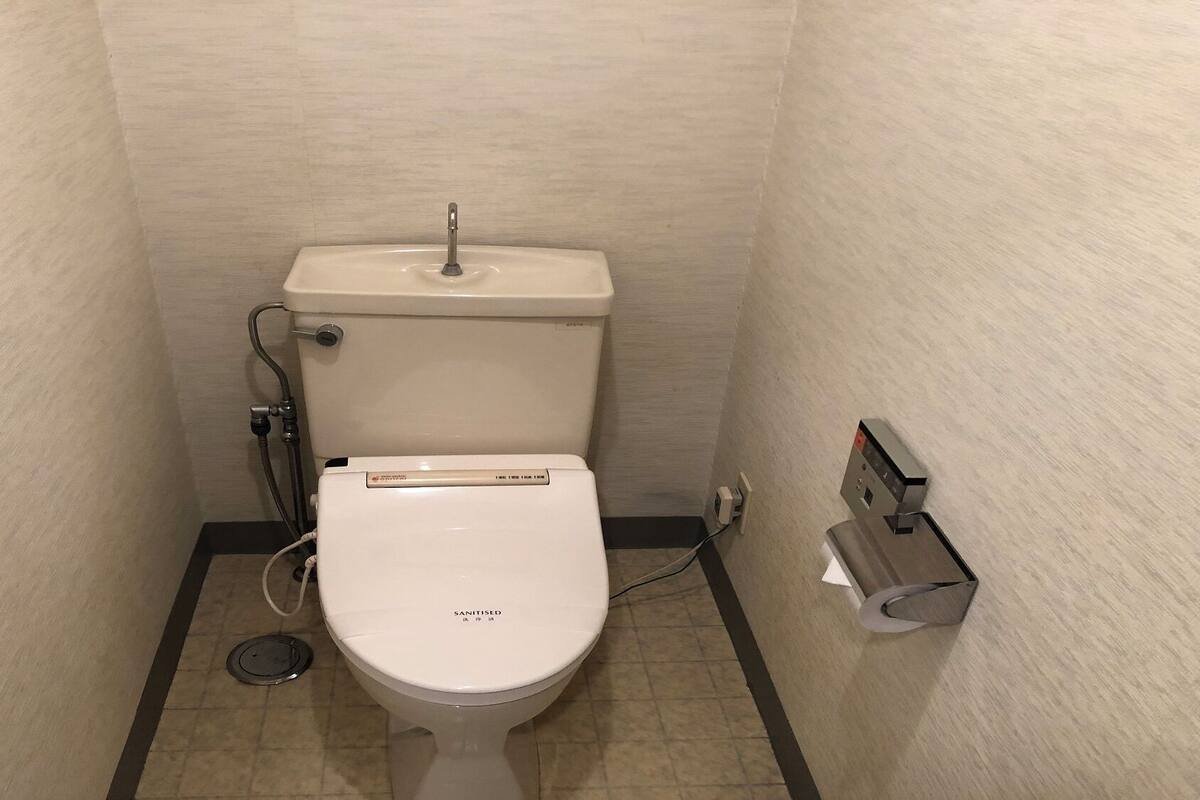 Een klein, wit toilet met een spoelhendel en een douchebronsysteem, een toiletrolhouder aan de muur en een vloerafvoer.
