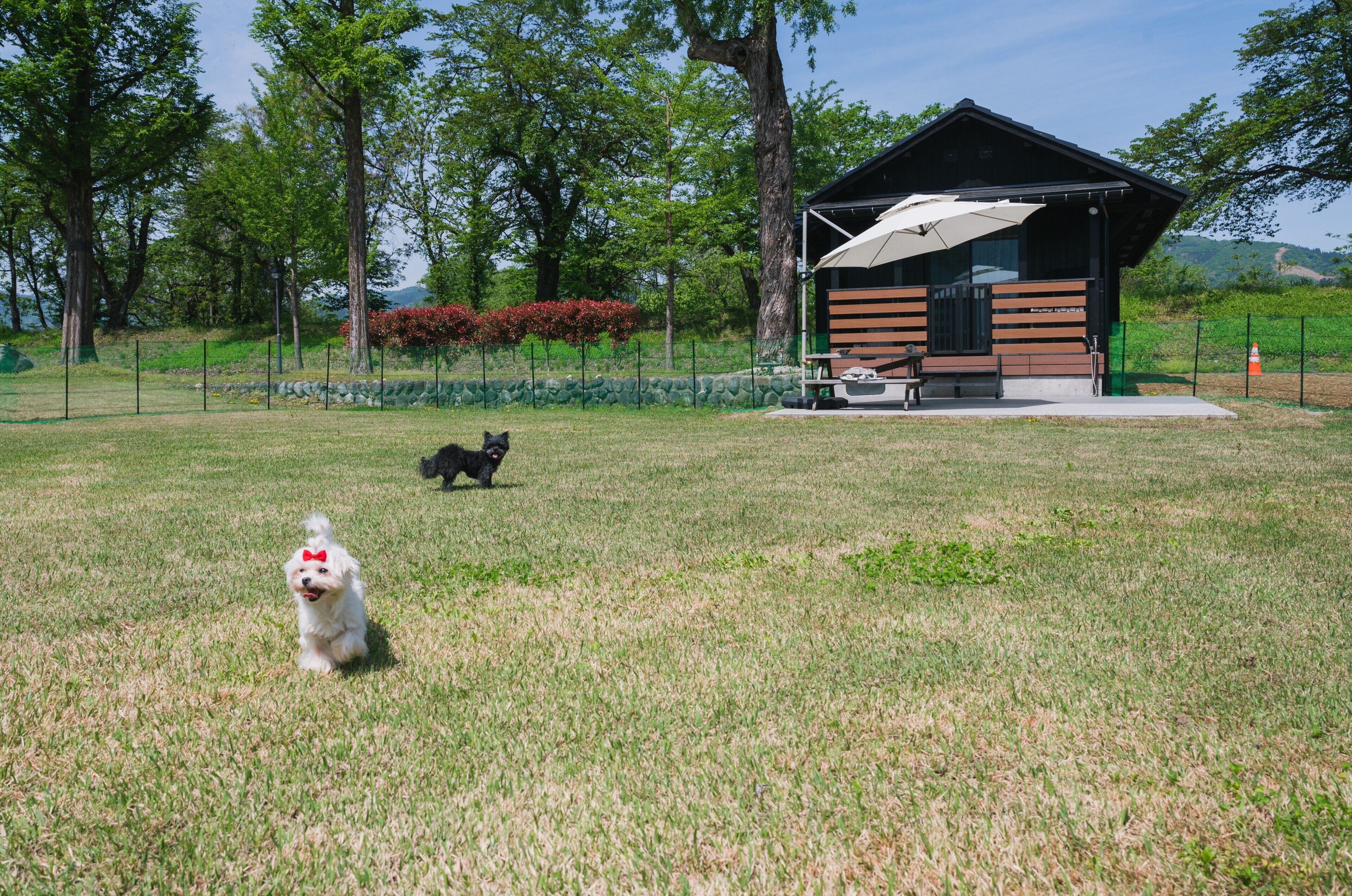 Parco della struttura