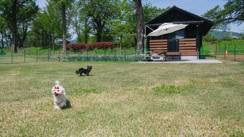 Parco della struttura