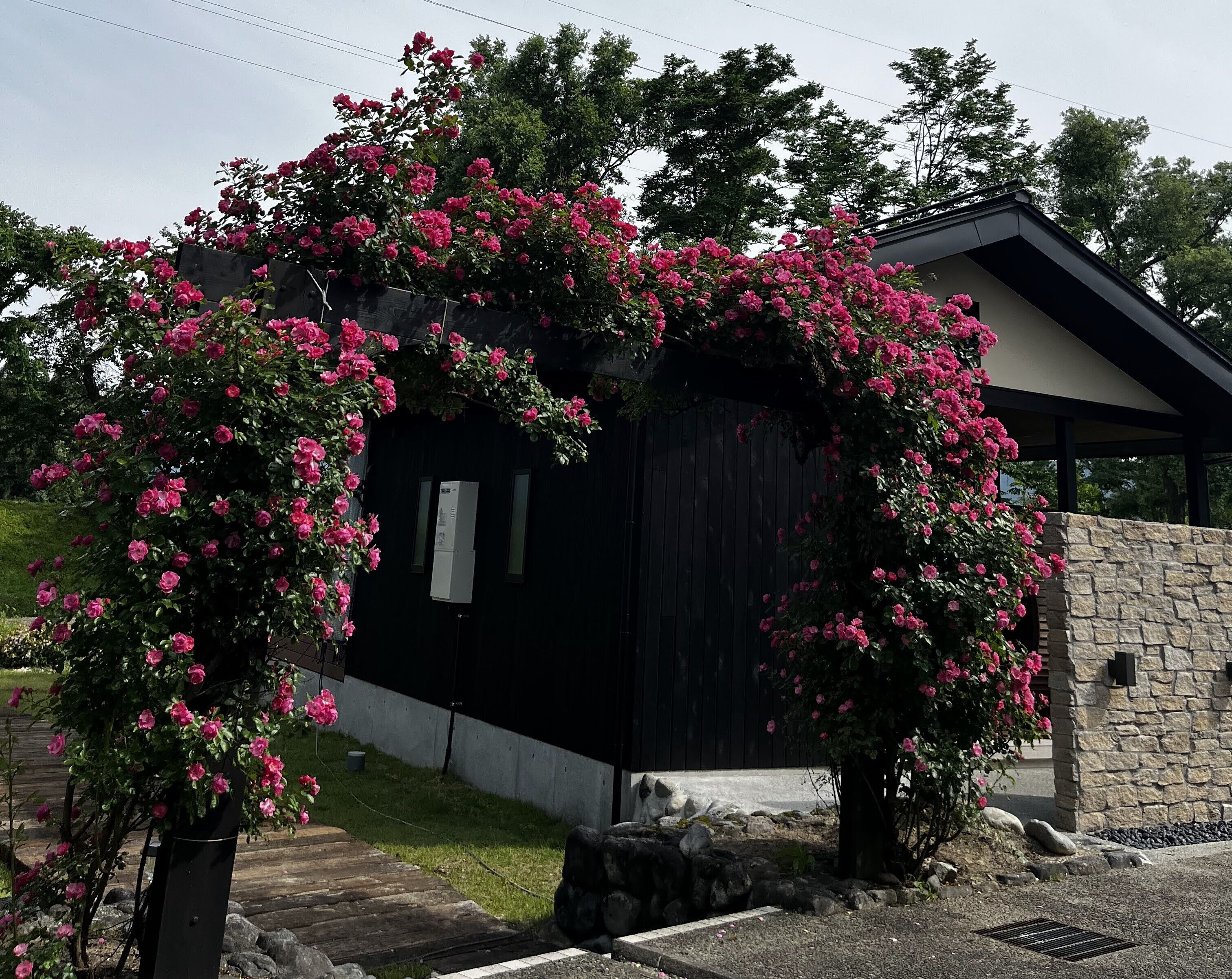 Overnatningsstedets område