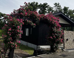 Jardines del alojamiento