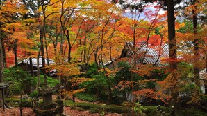 A traditional Japanese garden with stone lanterns and a pagoda. - Hakone Pet-friendly Inn Yuniwa (Hakone)