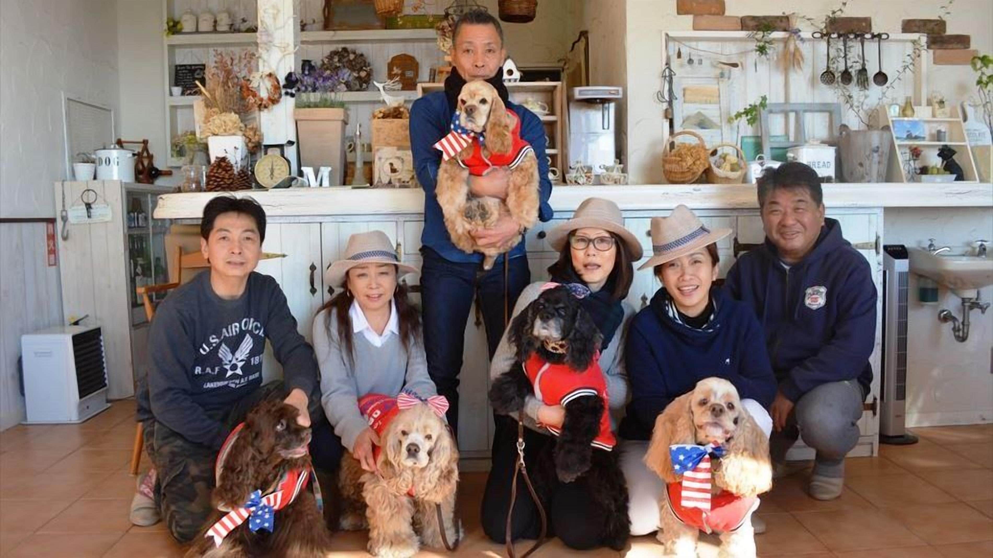 Una familia con perros en una cocina, algunos vistiendo ropa con temática de la bandera estadounidense.