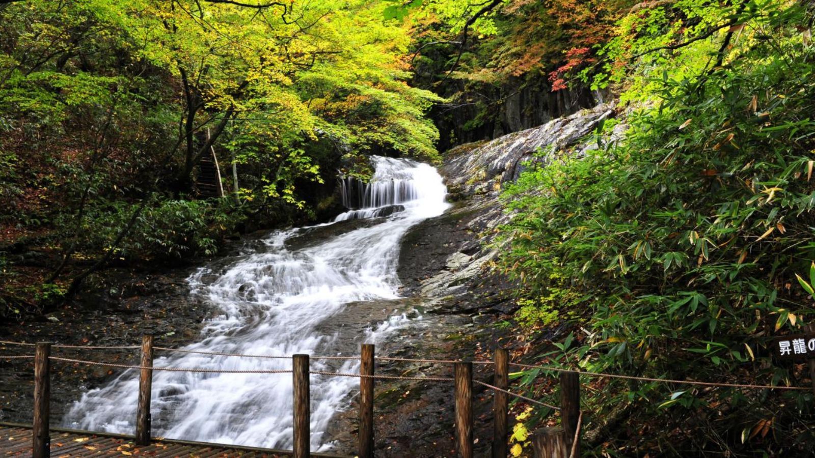 Une cascade située dans une zone boisée, avec une clôture en bois au premier plan.
