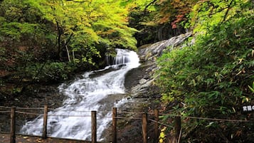 A waterfall in a forested area with a wooden fence in the foreground.