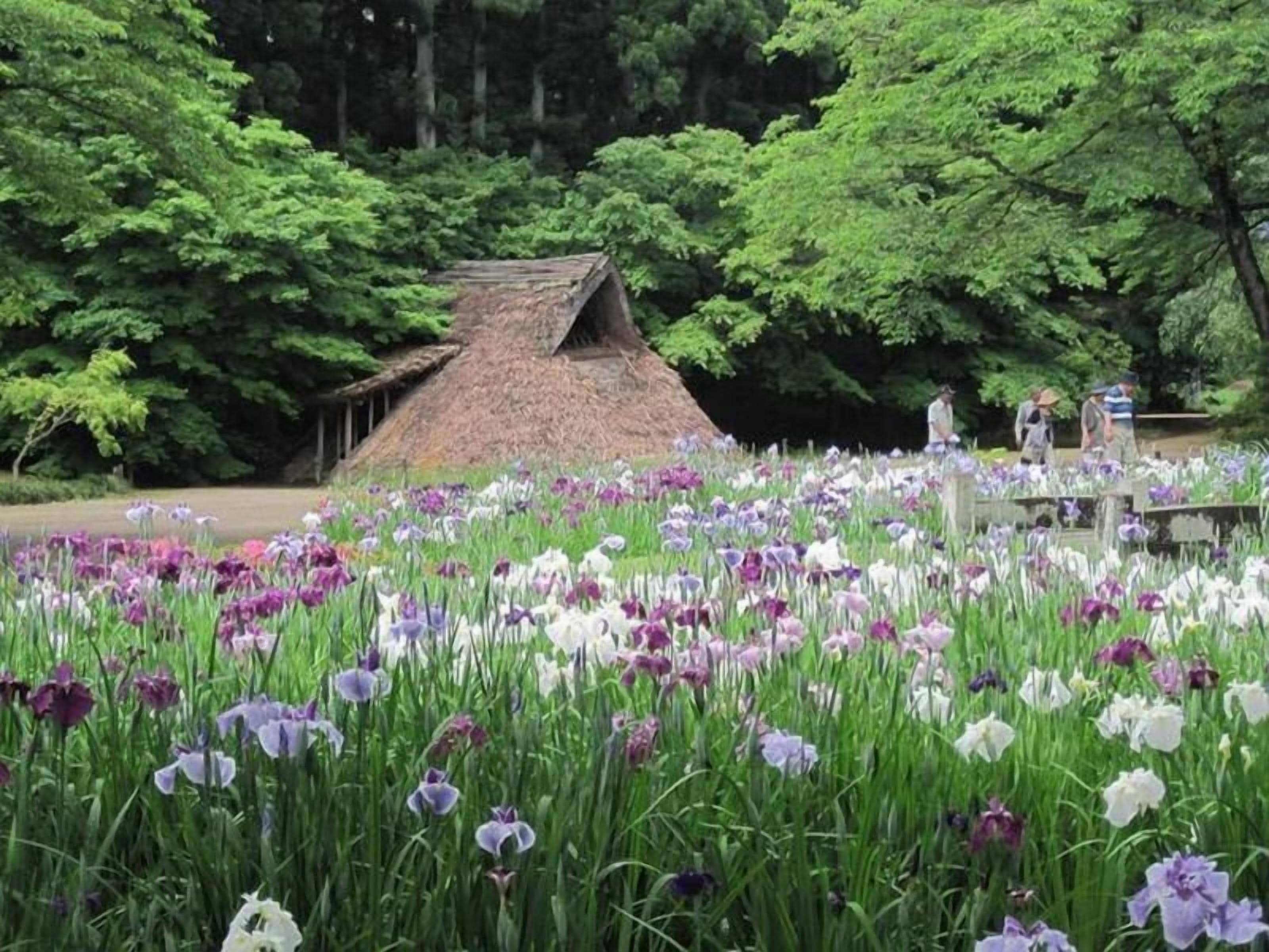住宿地面