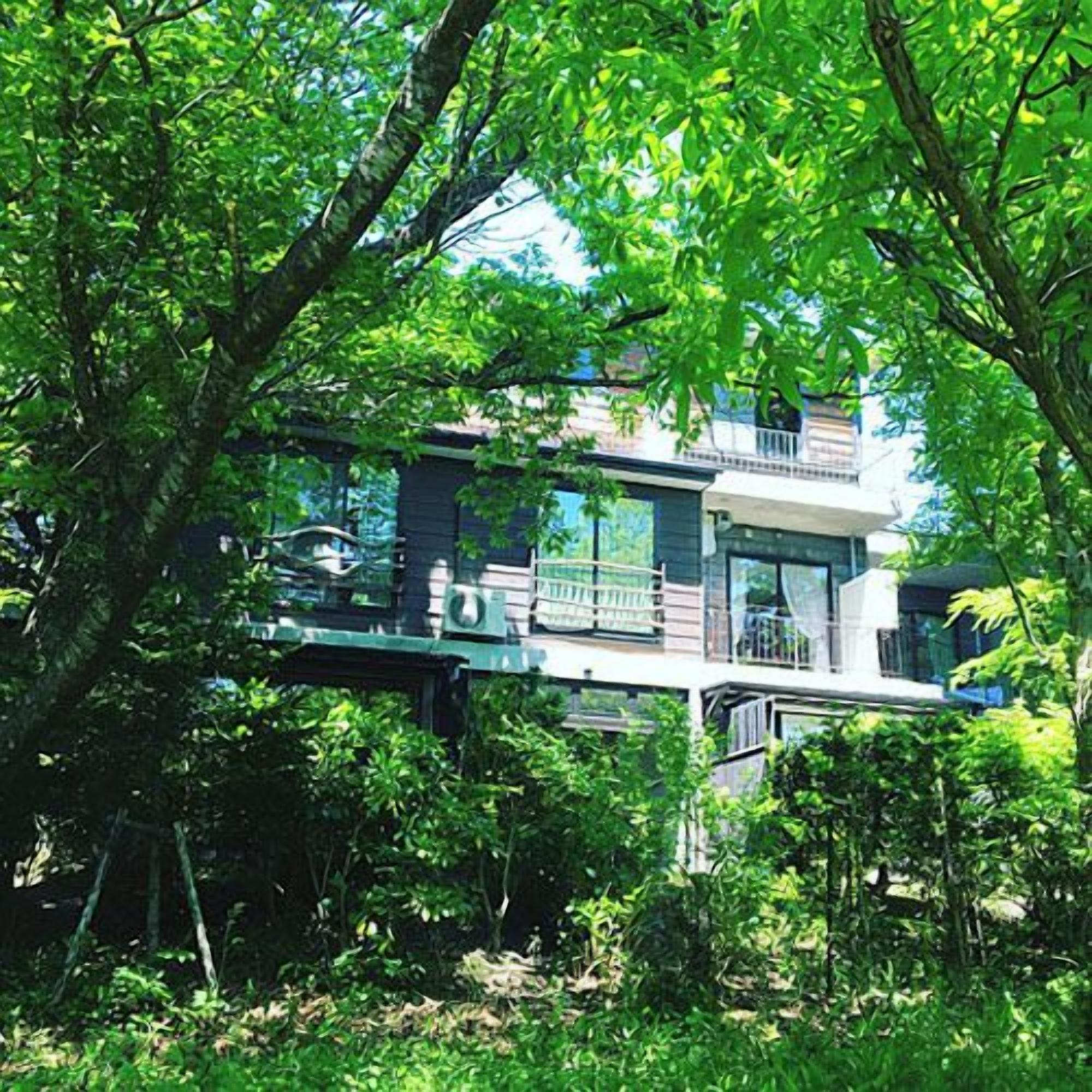 A modern house with a balcony, surrounded by lush greenery.