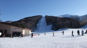 A ski resort with a building labeled 'Falcon' and a ski slope in the background. - Dake Onsen Soranoniwa Resort (Nihommatsu)