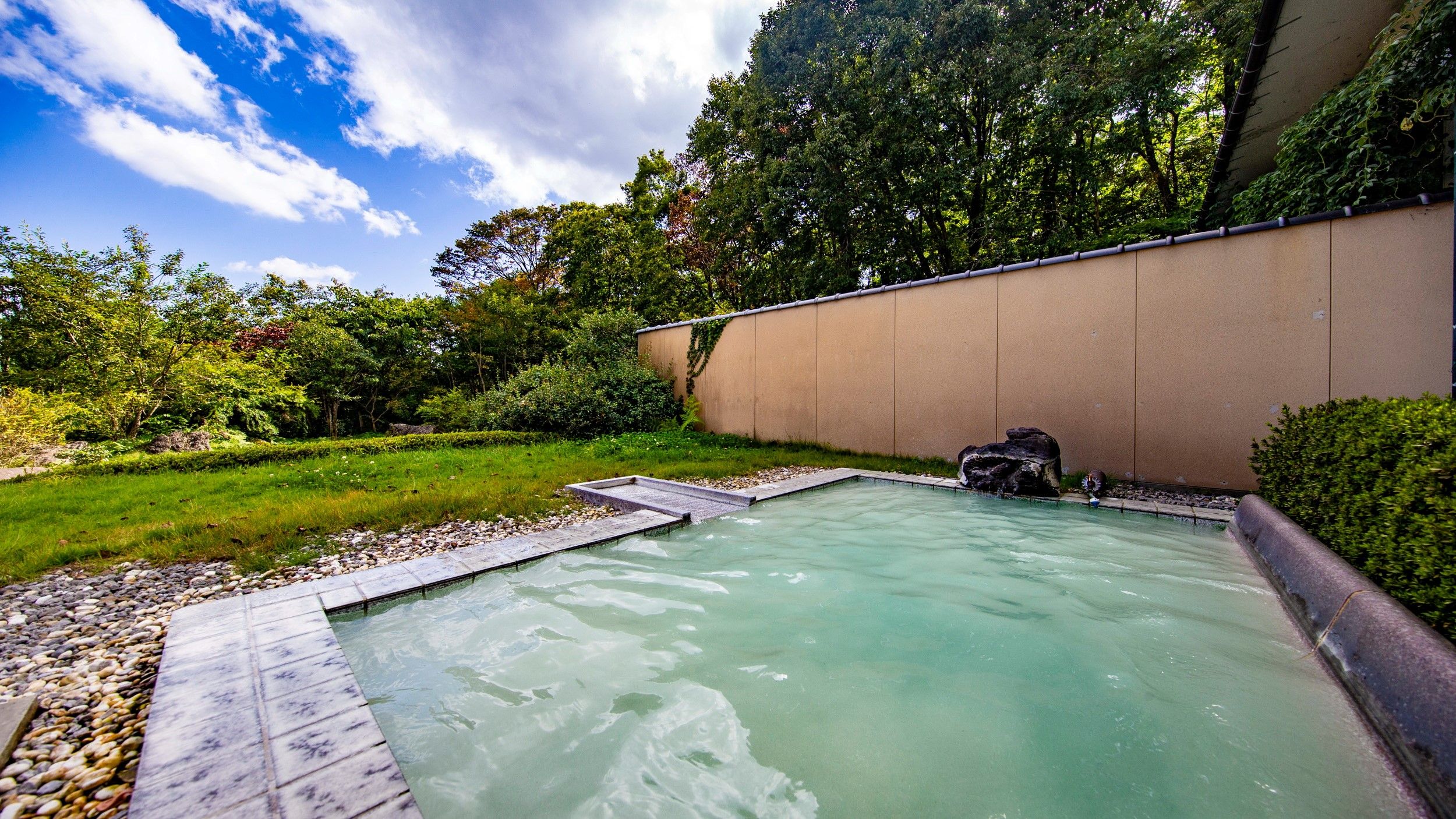 A swimming pool with a stone deck, surrounded by a garden with various plants and a wall.